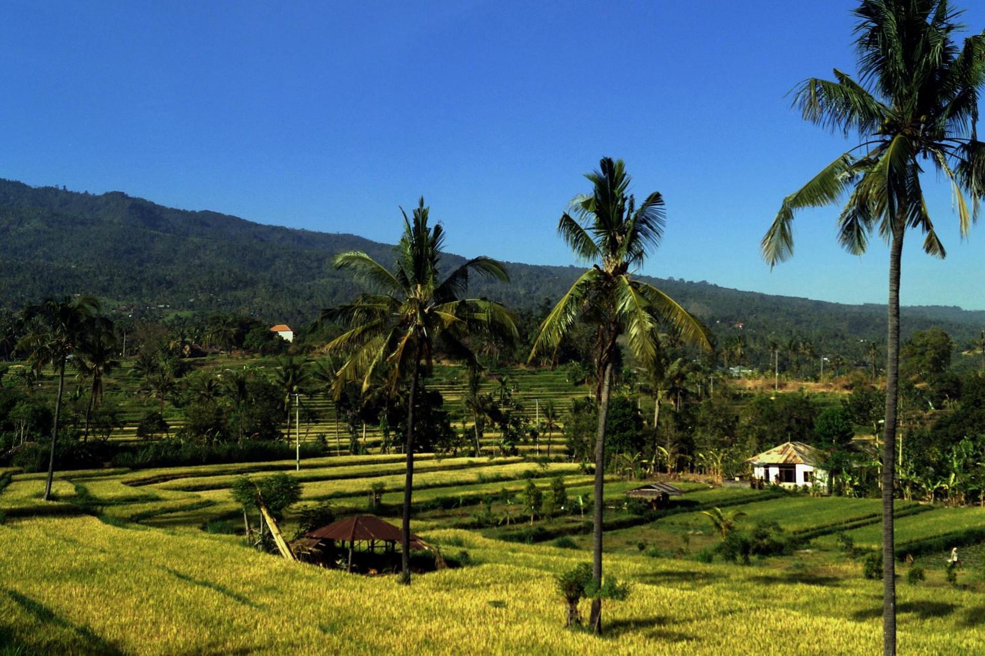Lafyu Bali Hotel Singaraja  Exterior photo