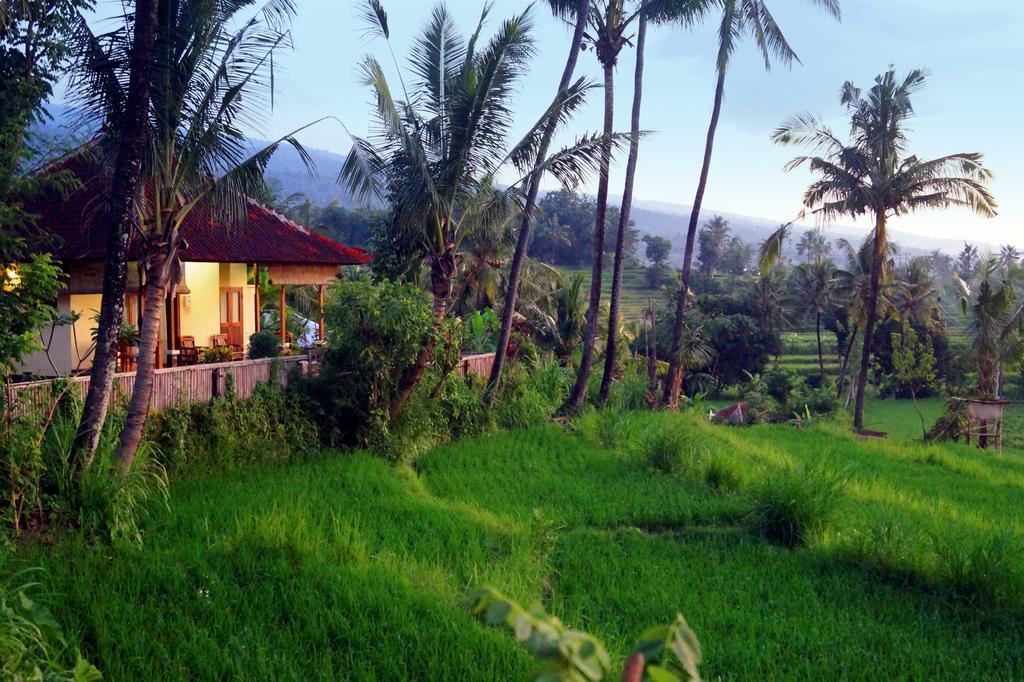Lafyu Bali Hotel Singaraja  Exterior photo