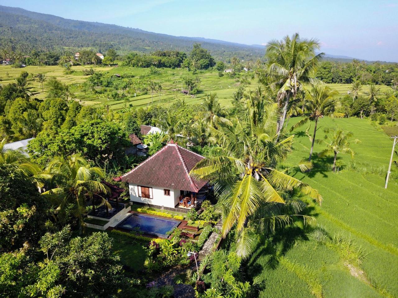 Lafyu Bali Hotel Singaraja  Exterior photo